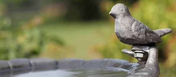 bird baths