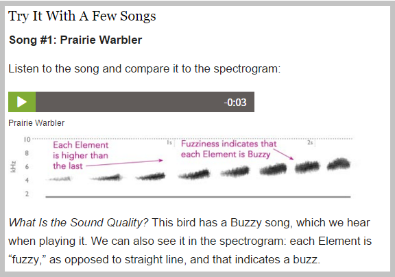 prairie_warbler_song